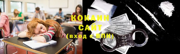 прущие грибы Новозыбков