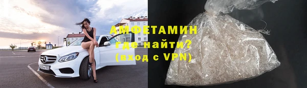 прущие грибы Нефтекумск
