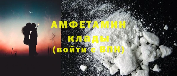 прущие грибы Новозыбков
