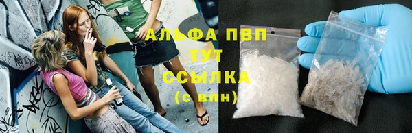 прущие грибы Новозыбков