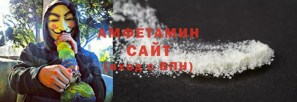 прущие грибы Новозыбков