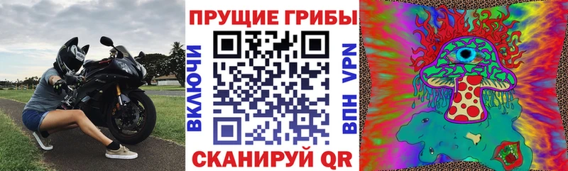 Псилоцибиновые грибы Psilocybe  цена наркотик  Унеча 
