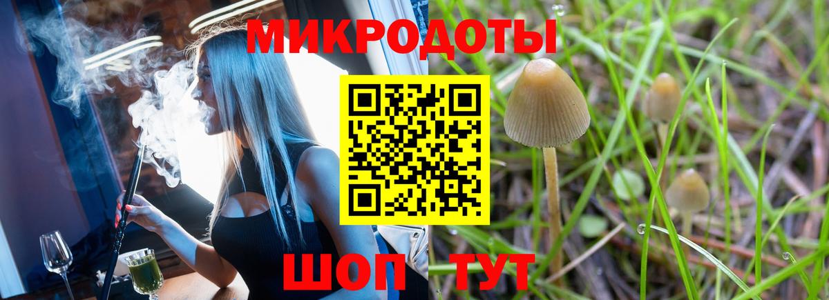Псилоцибиновые грибы мухоморы Унеча