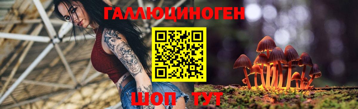Унеча  Галлюциногенные грибы Cubensis  Вход с VPN 